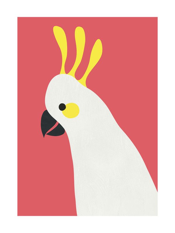 Hello Cocky! Wall Art Prints by Catherine Culvenor | Minted: Sulfur-crested cock…