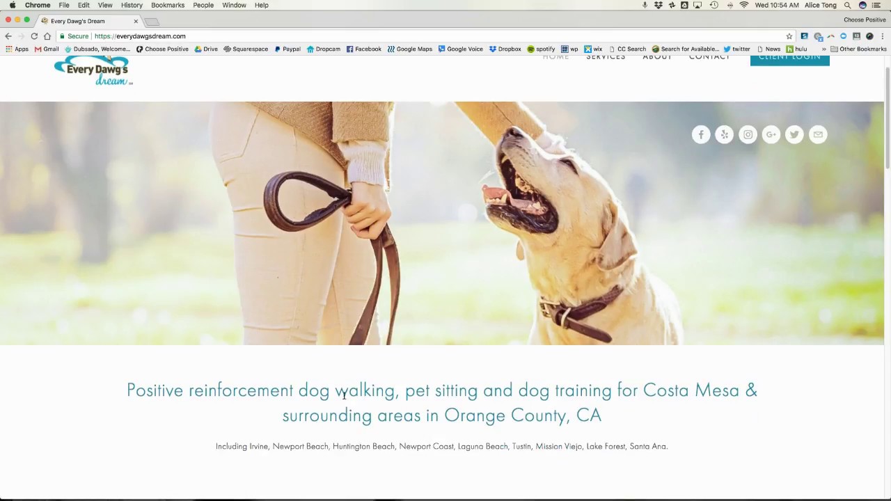 Website Design for dog walker, pet sitter, dog trainer