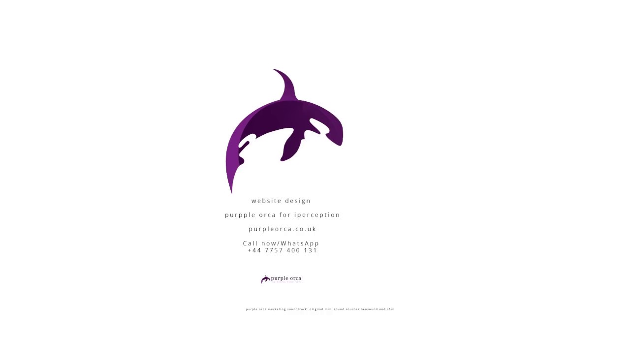 Website design. Purple Orca