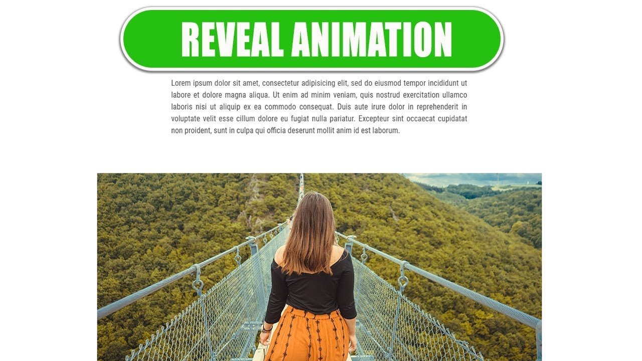 Reveal The Animation on Scroll using the Modern Technologies – Website Design